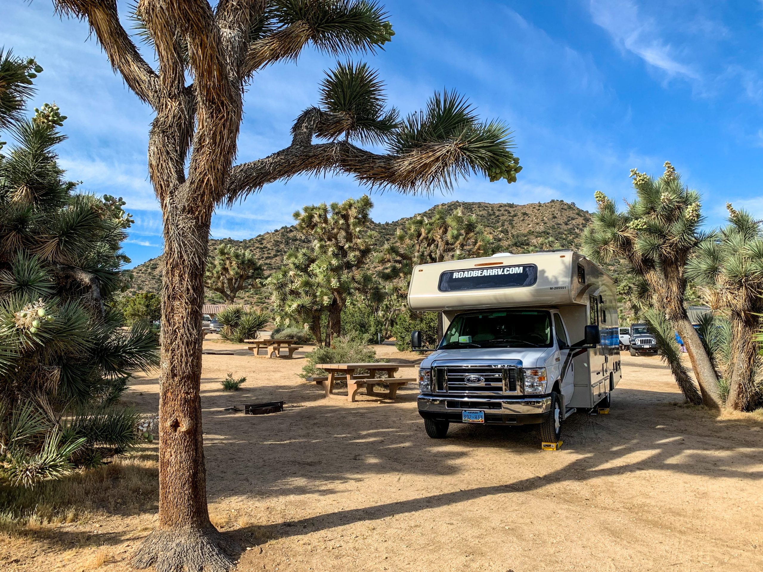 RV in Joshua Tree