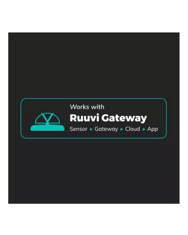 Ruuvi Tag Pro (fully waterproof) - Image 2