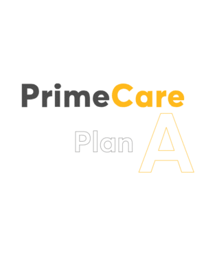 Peplink PrimeCare A Subscription