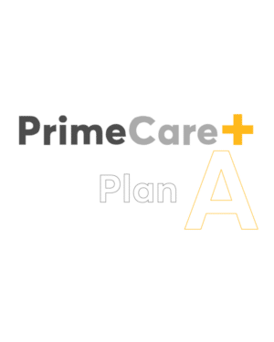 Peplink PrimeCare+ A Subscriptions