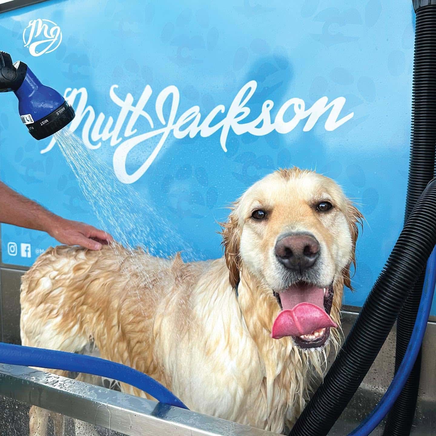 Solar Dog Wash Station | Victron Power for State Parks